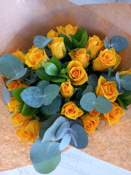 Yellow roses babsi rose delivery george
