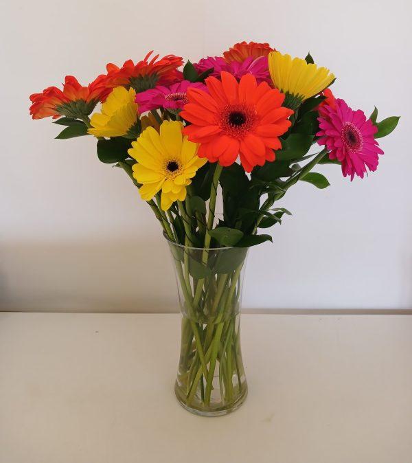 colourful gerberas in tall vase babsi george delivery