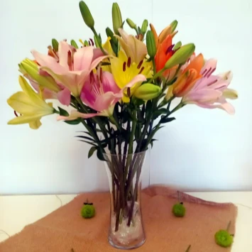 Mixed Asiatic Lilies