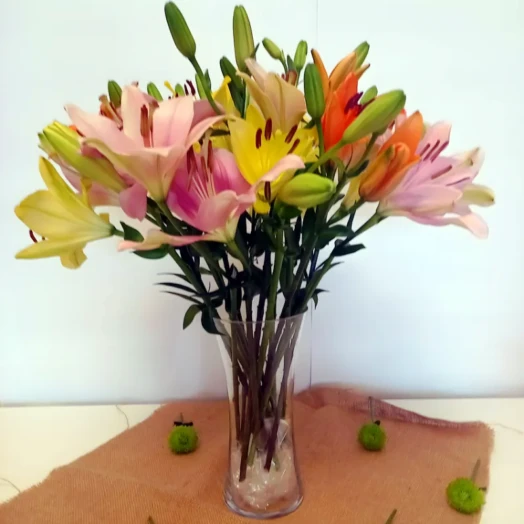 Mixed Asiatic Lilies