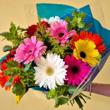 Bright Mixed Gerberas