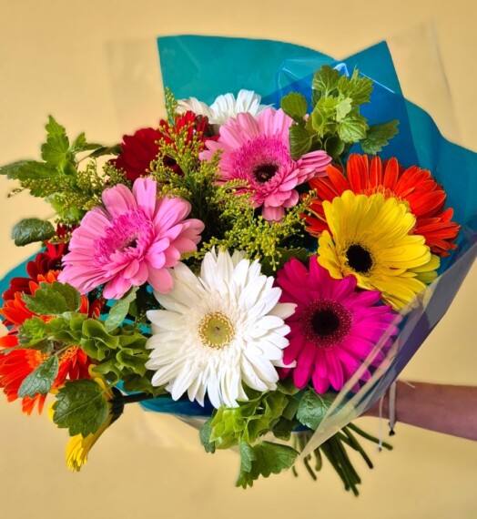 Bright Mixed Gerberas