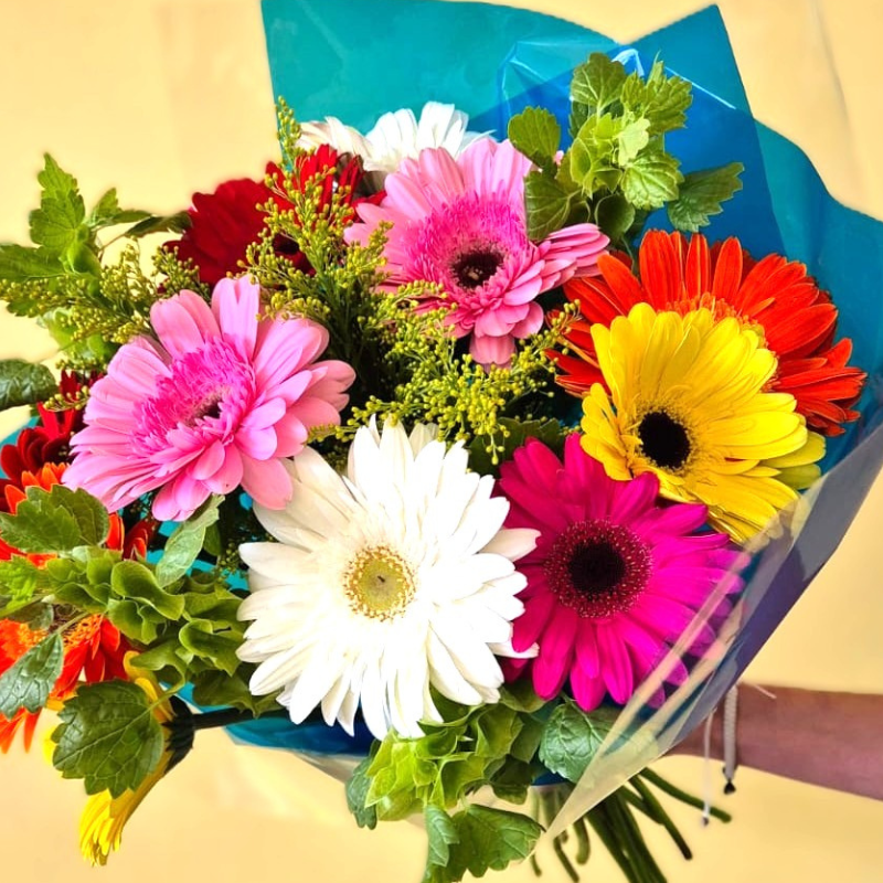 A Vibrant bouquet of mixed gerberas in pink, white, yellow, red and magenta with green foilage