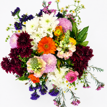 Seasonal Mix of blooms including, but not limited to ranunks, sprays, daisies, greenery, snapdragons