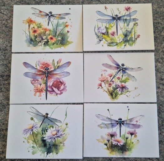 Dragonfly Greeting Card