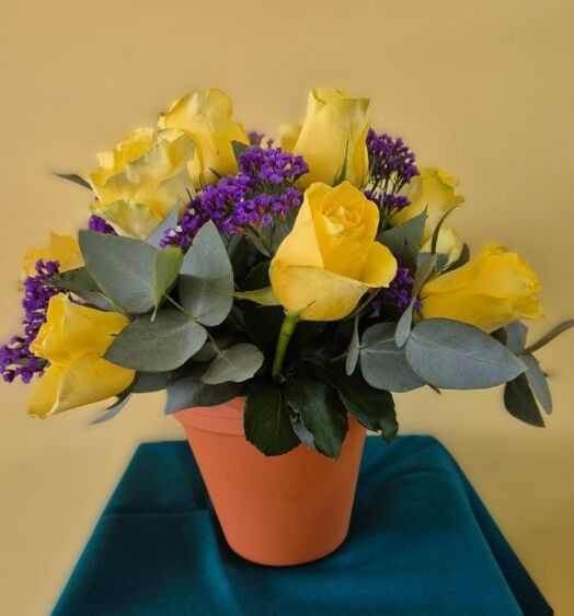Pot of Roses