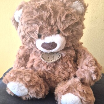 Large Teddy Bear - 30cm