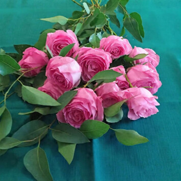 Rose Bouquet - Pink
