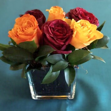 Six red and orange roses in a square glass vase